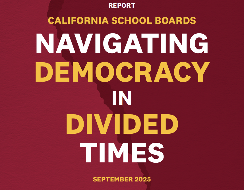 NAVIGATING DEMOCRACY IN DIVIDED TIMES
