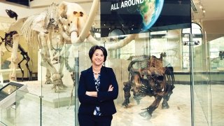Professor Gale Sinatra at the Museum of Natural History in Exposition Park, Los Angeles. PHOTO BY CODY PICKENS