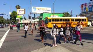 Elementary Students crossing street