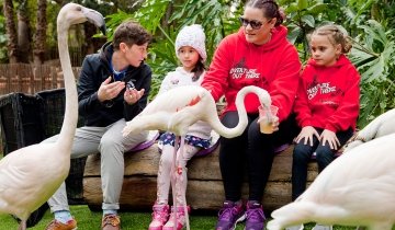 photography by Peter Brown