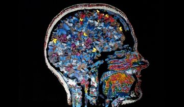 Illustration by artist Pablo Garcia Lopez