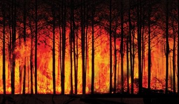 Flames over Lakeside High School in Lake Elsinore during 2018’s Holy Fire.
