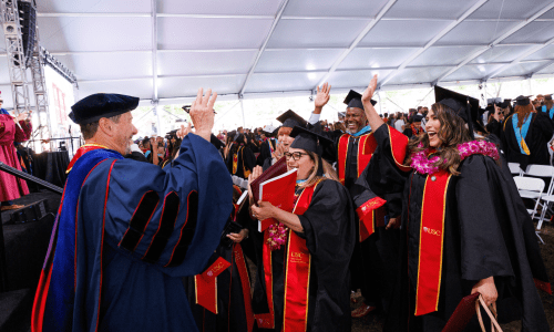 Hero image of professor giving high fives to graduating student