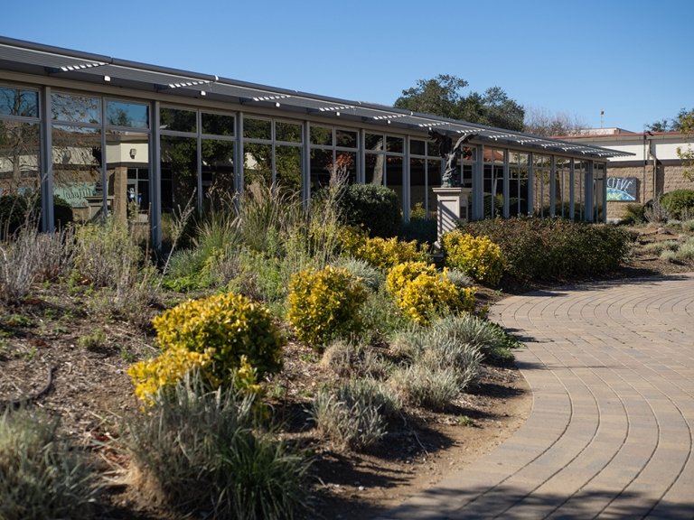 A bed of native plants outside the CRATE modular classrooms at Oak Park High School give students and their teachers a view of nature from the classroom. (Photo/April Wong, aprilwongphotography.com, @aprilwongphoto)