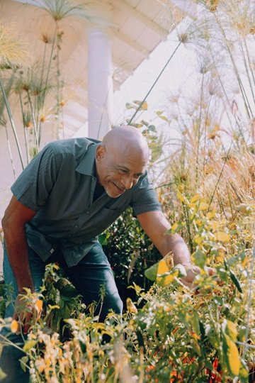Noguera picks a pepper from his home plot. (Photo/Bethany Mollenkof)